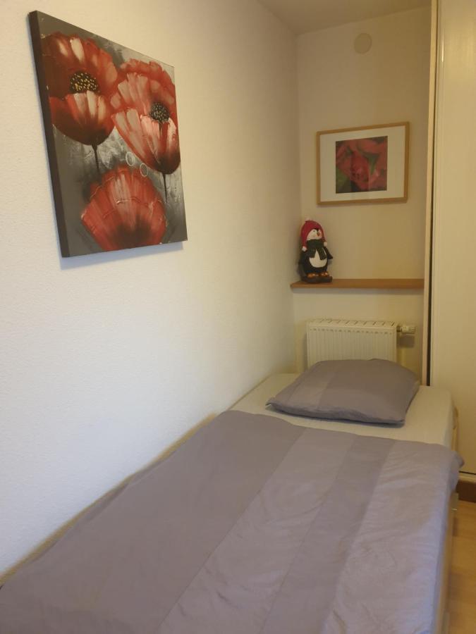Appartement Proche D'Europa Park/Marches De Noel Rhinau ภายนอก รูปภาพ