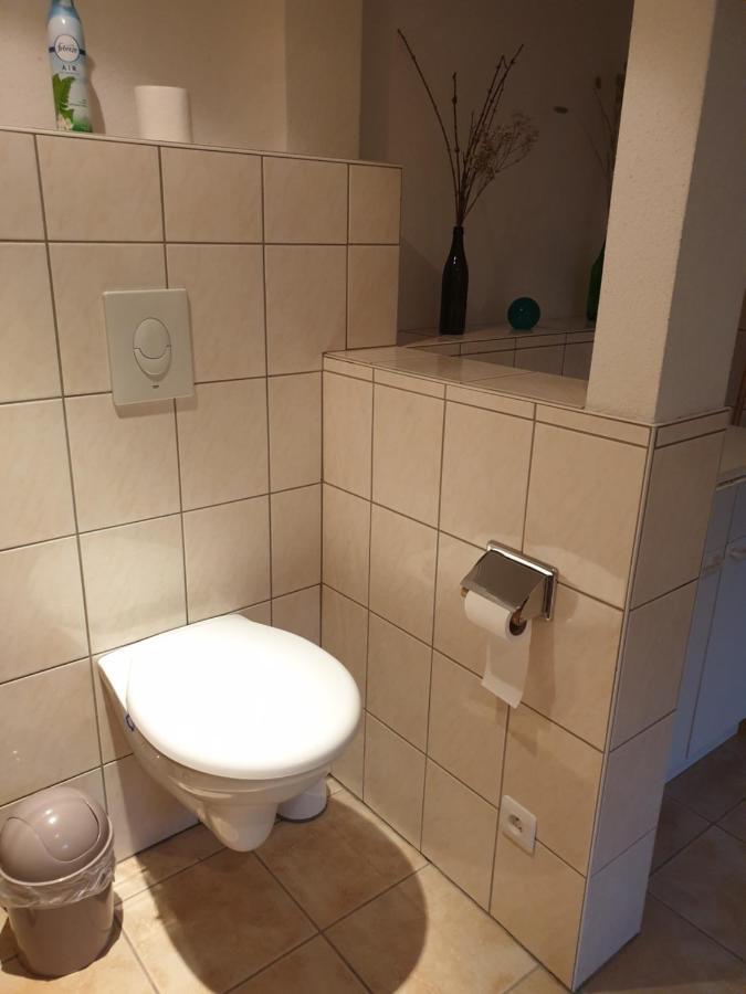 Appartement Proche D'Europa Park/Marches De Noel Rhinau ภายนอก รูปภาพ