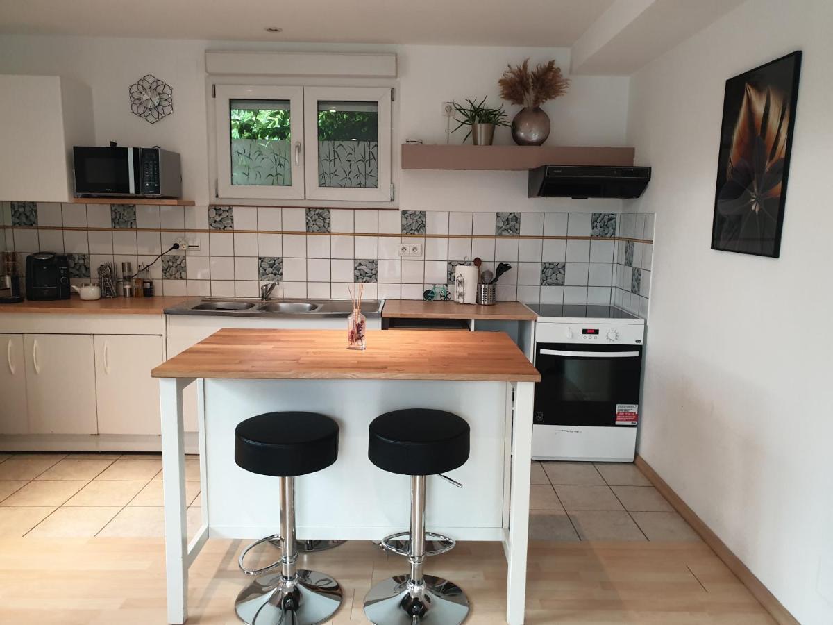 Appartement Proche D'Europa Park/Marches De Noel Rhinau ภายนอก รูปภาพ