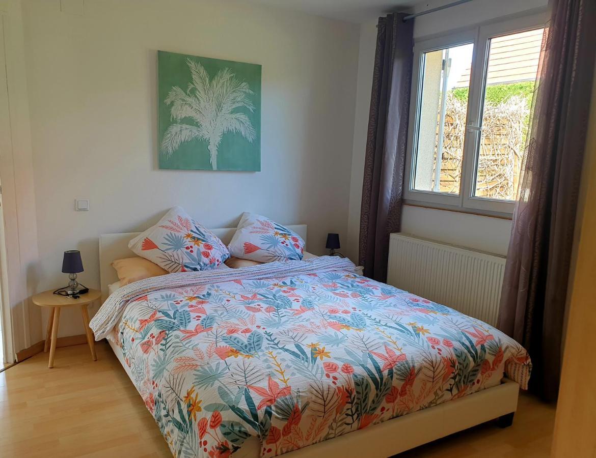 Appartement Proche D'Europa Park/Marches De Noel Rhinau ภายนอก รูปภาพ